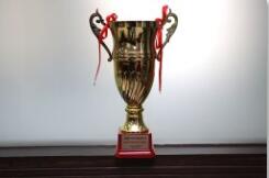 公司历年获授予荣誉一览